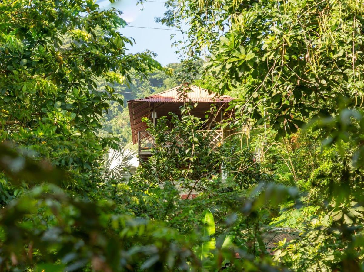 Deep Forest Posadas Ecoturisticas El Zaino Exterior foto